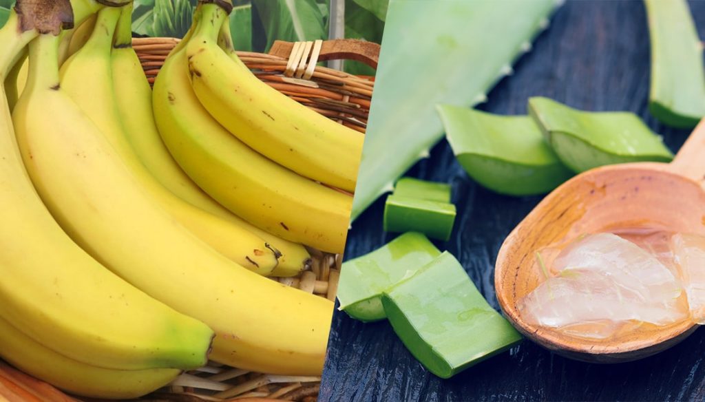 Comment utiliser l'aloe vera sur votre visage en la combinant avec la banane